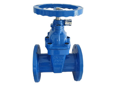 Side lock gate valve