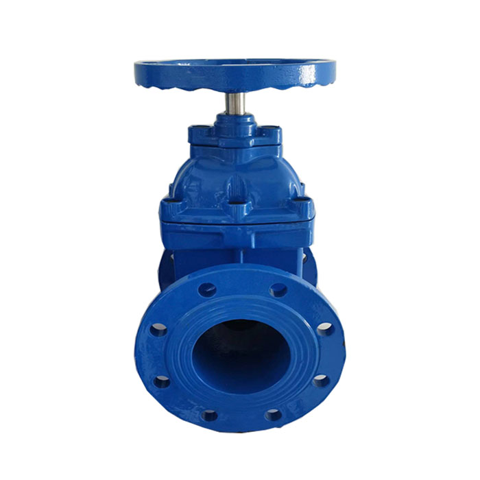 Side lock gate valve