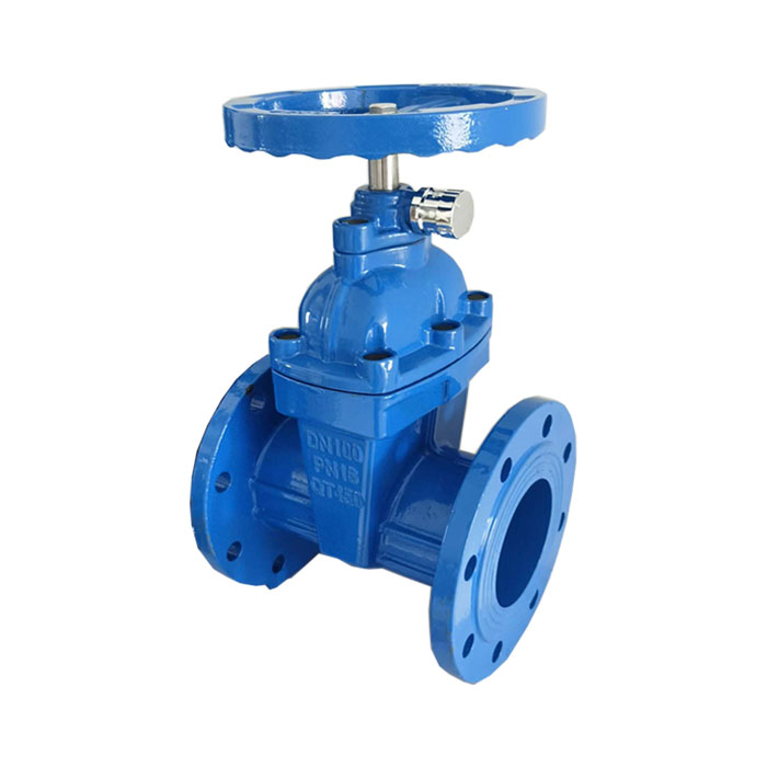 Side lock gate valve
