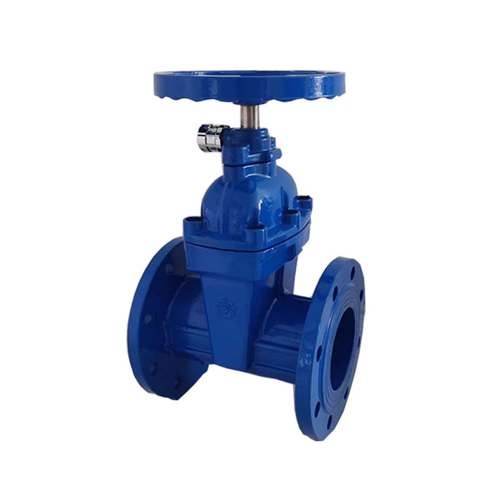 Side lock gate valve