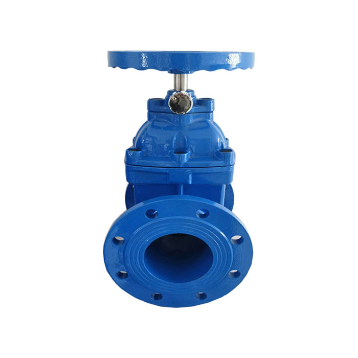 Side lock gate valve
