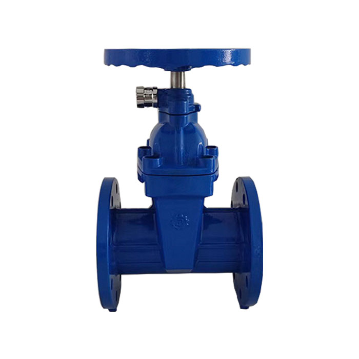 Side lock gate valve