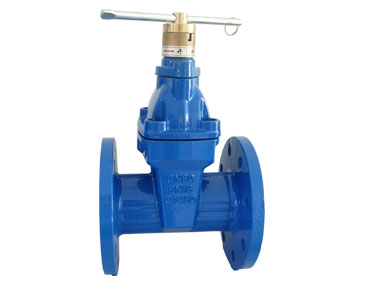 Magnetic lock gate valve