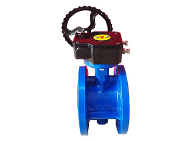 Flange butterfly valve