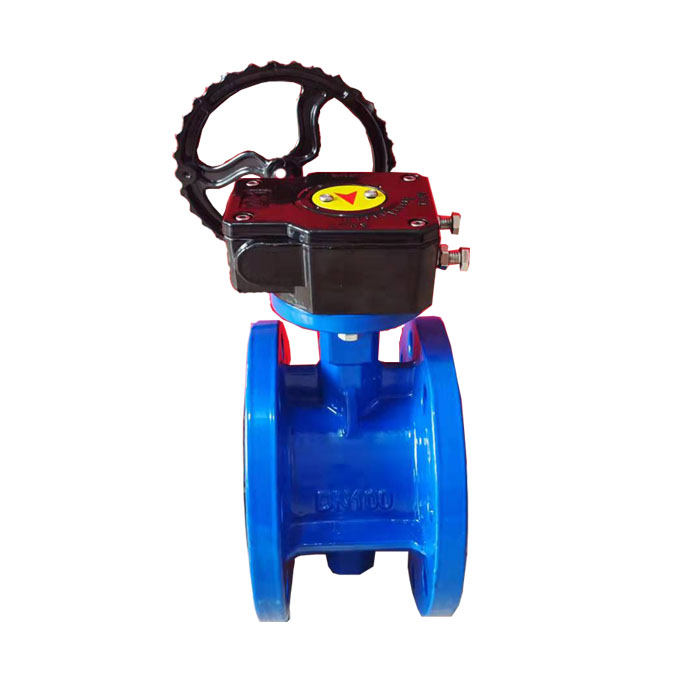 Flange butterfly valve