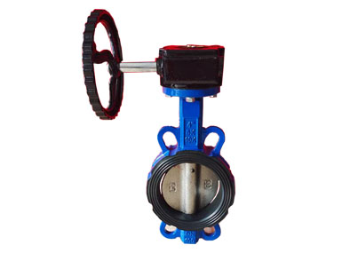 Worm gear butterfly valve