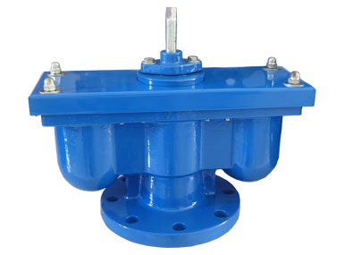 Double port exhaust valve