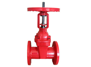 Rising stem gate valves