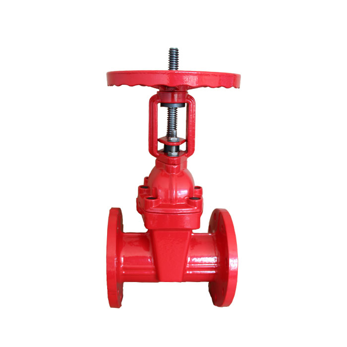 Rising stem gate valves