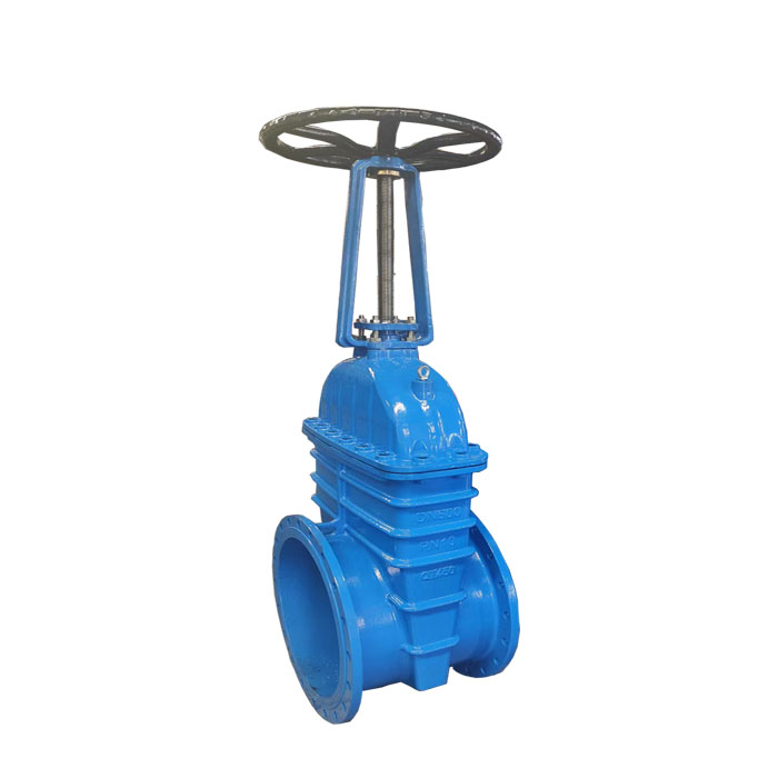 Rising stem gate valves