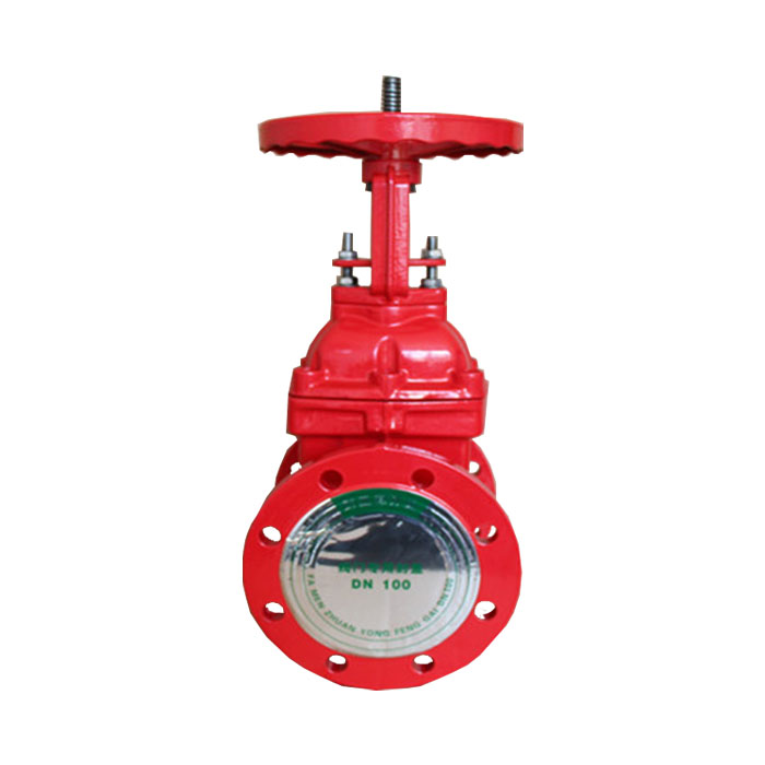 Rising stem gate valves