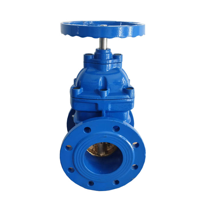 German standard hard seal gate valve