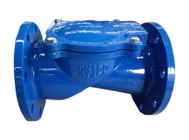 Rubber disc check valve