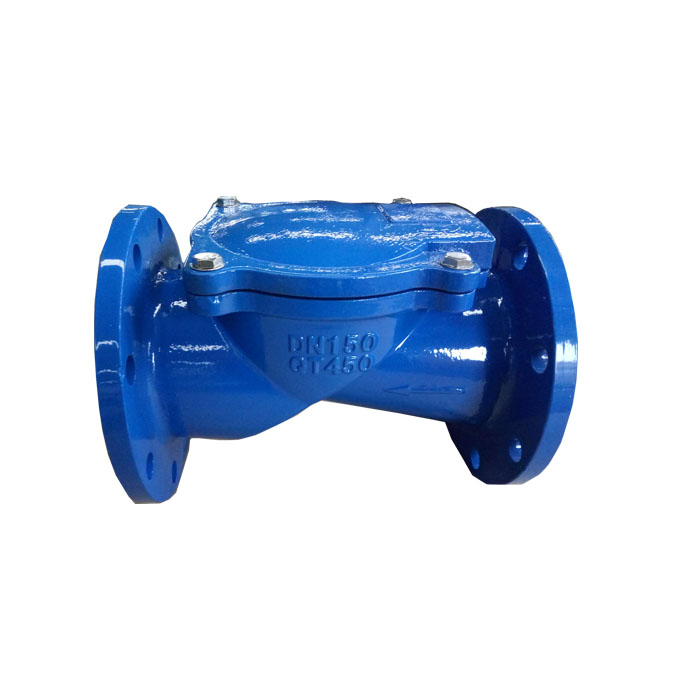 Rubber disc check valve