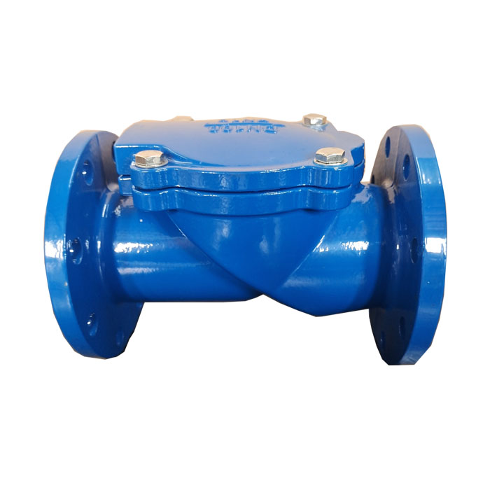 Rubber disc check valve