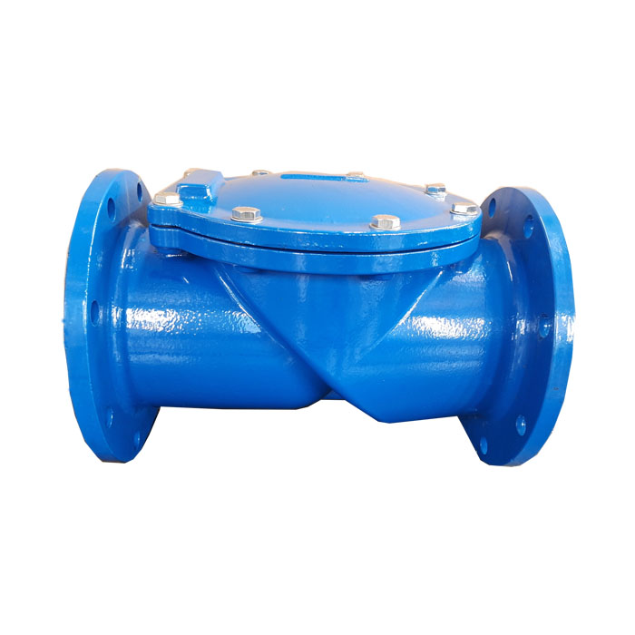 Rubber disc check valve