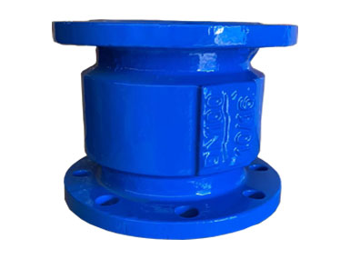 Muffler check valve