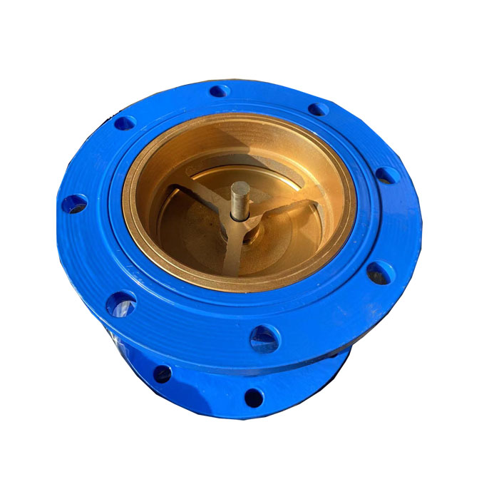 Muffler check valve