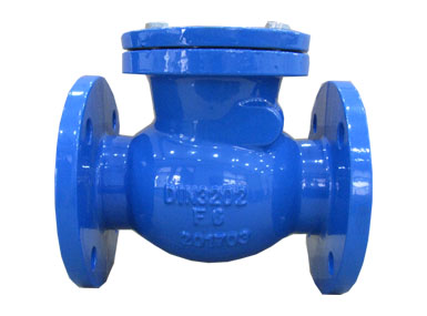 Swing check valve