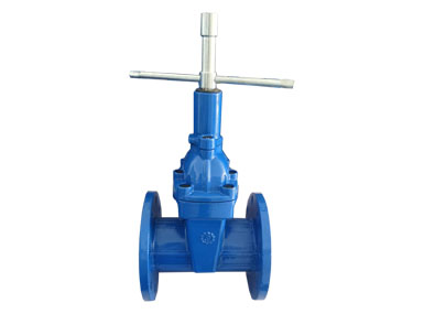 Mechanical lock gate valve