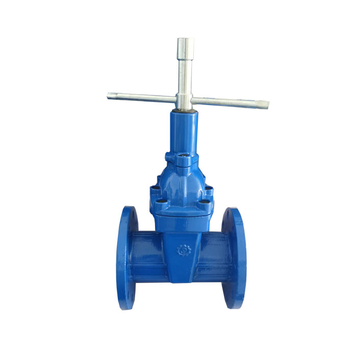 Mechanical lock gate valve
