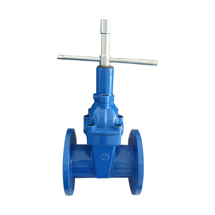 Mechanical lock gate valve