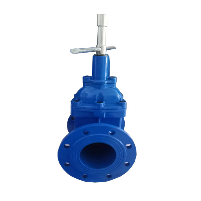 Mechanical lock gate valve