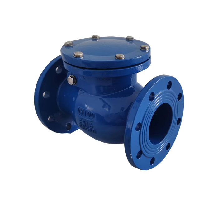 Swing check valve