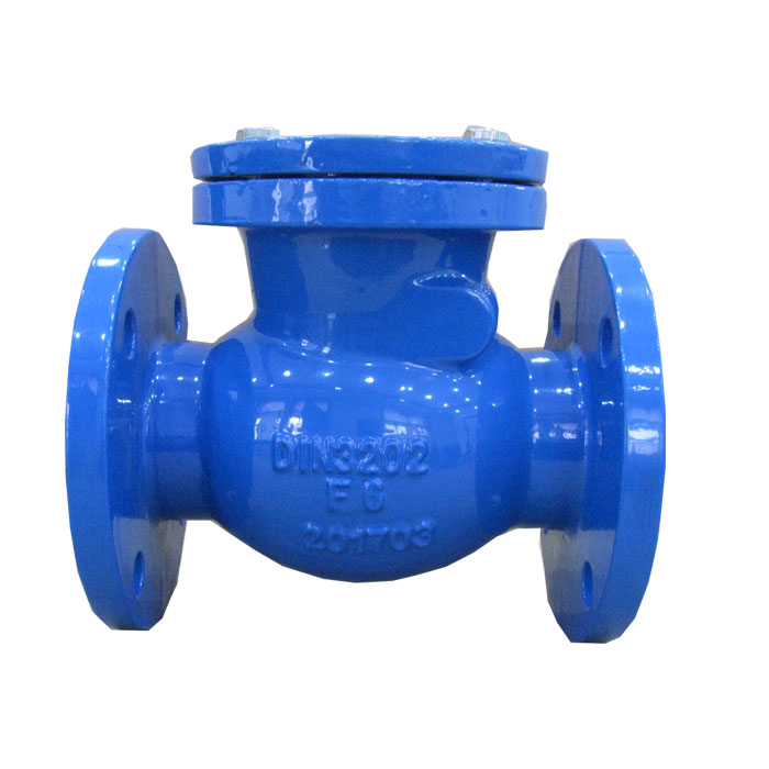 Swing check valve