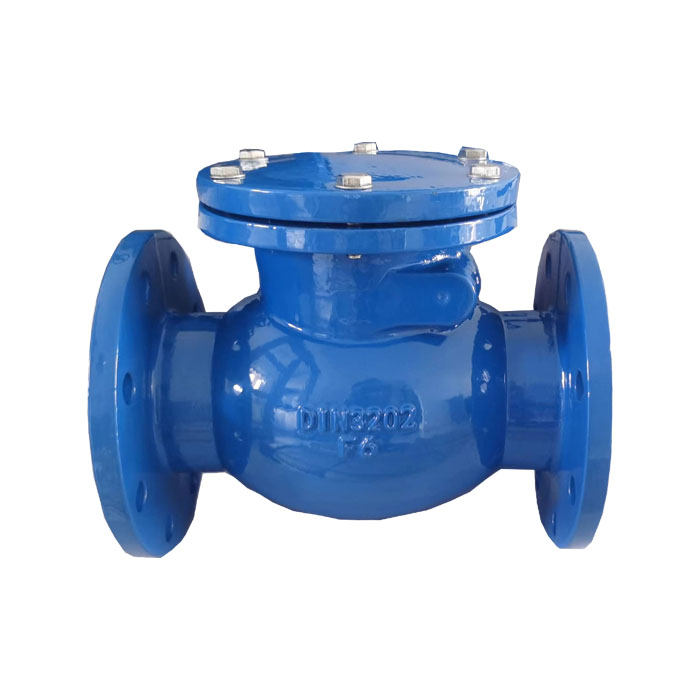 Swing check valve