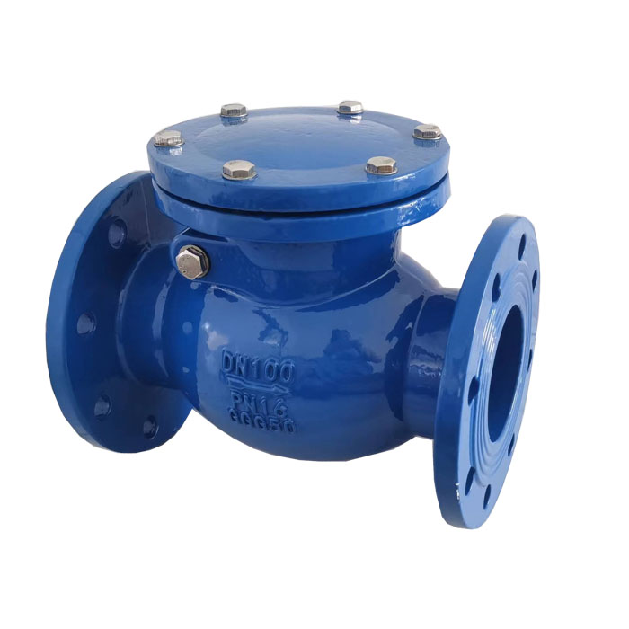 Swing check valve
