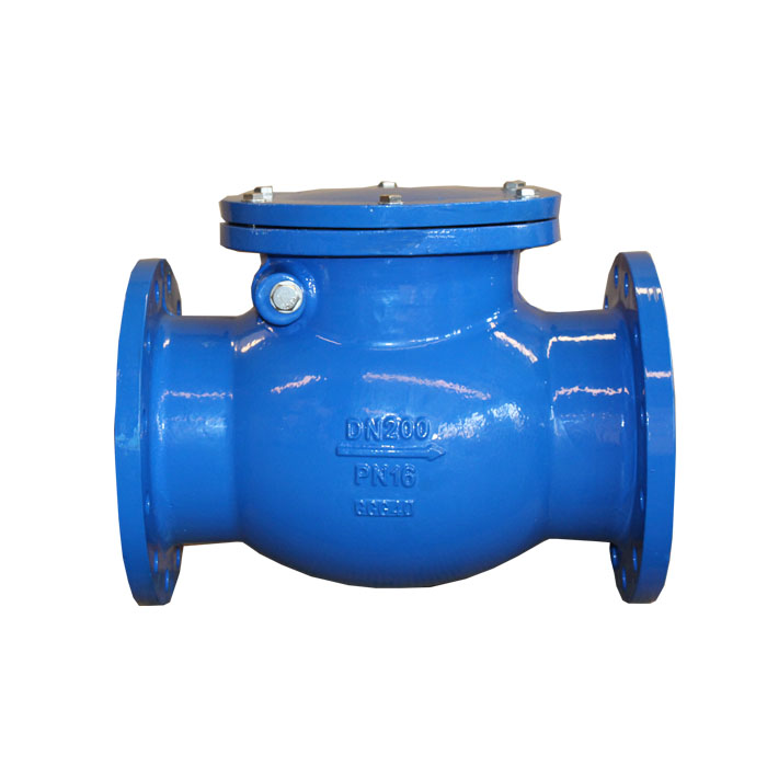 Swing check valve