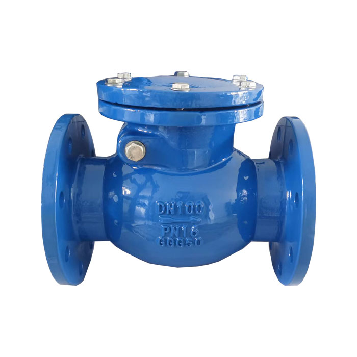 Swing check valve
