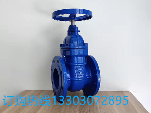 Z45X-16Q软密封闸阀 法兰泄水闸阀球墨铸铁弹性暗杆闸阀厂家