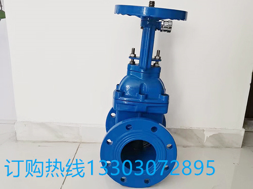 明杆软密封闸阀 Z41X-16Q RRHX 弹性座封法兰闸阀 球墨铸铁