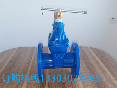 厂家生产 暗杆软密封闸阀 Z45X-16Q球墨铸铁法兰弹性座密封闸阀