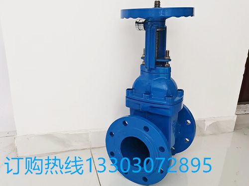 德同阀门厂家  DN40防护闸阀  DN50防护闸阀