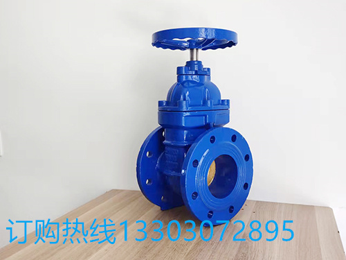 厂家生产 暗杆软密封闸阀 Z45X-16Q球墨铸铁法兰弹性座密封闸阀